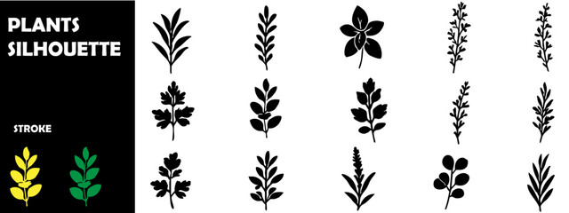 Botanical and Garden Plants Silhouettes Collection