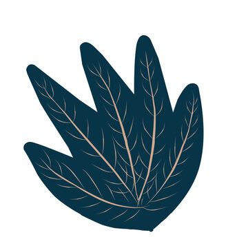 Blue Maple leaf icon