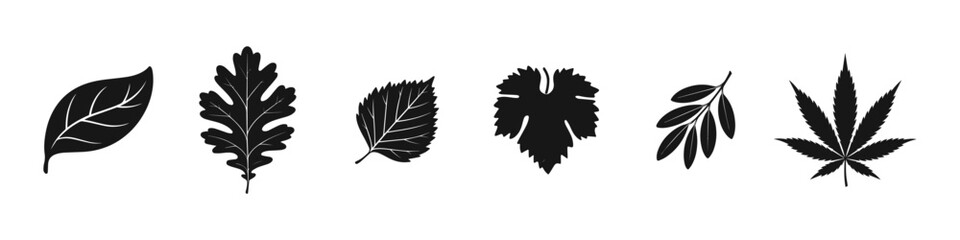 Oak leave, Cannabis Leaf, Clover, maple leaf, fig leaf, Birch leaf set ,silhouette vector illustration. isolated on white background.