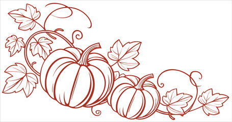  Pumpkins and foliage outline, autumn harvest line art vector illustration