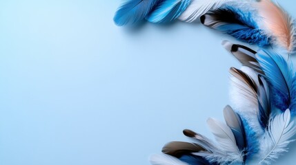 Naklejka premium Various blue, white, and black feathers are beautifully arranged in a circular fashion on a light blue background, perfect for crafts or artistic inspiration