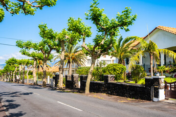 Fototapeta premium Strret with typical houses with tropical plants in garden, Pico island, Azores, Portugal
