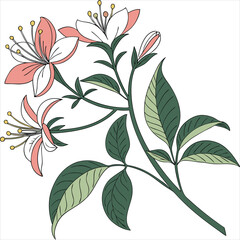 vector illustration of flowers with leaf
