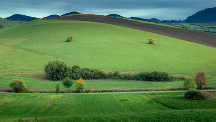 Naklejka premium Grassy hill with trees above horizontal road, mountains and clouds in the background