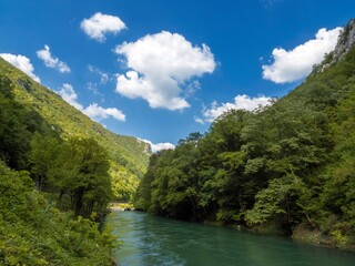 vrbas