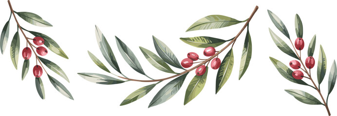 vector illustration of a grass