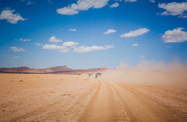 driving the roads of the Morocco desert