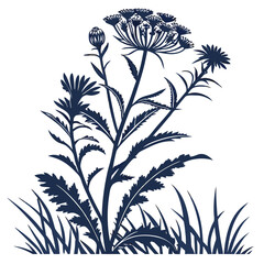 silhouette house plant on white background