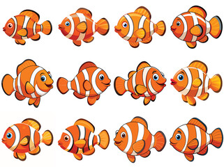 Clownfish vector illustration isolated on white background.