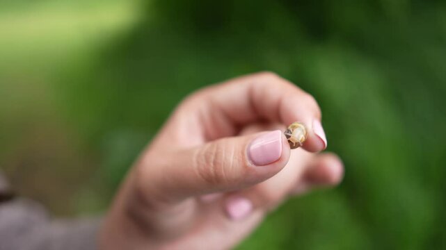 A slug in Dobbs Weir, Hoddesdon, UK
