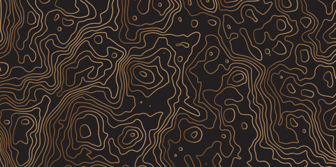 "Luxury topographic terrain map background with golden shape lines texture. Abstract line art background vector.  Retro topographic map. Design illustration for wall art, fabric, packaging"