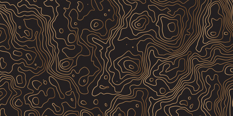 "Luxury topographic terrain map background with golden shape lines texture. Abstract line art background vector.  Retro topographic map. Design illustration for wall art, fabric, packaging"