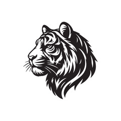 Obraz premium head of lion