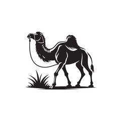 Arabian Camel Vector (3).eps
