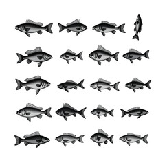 Bass fish silhouette engraving style set animation frames