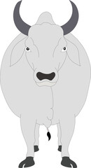 Cartoon Bull Vector Isolated Front View – Ox Character Illustration for Animation, Mascot, and Farm Animal Design
