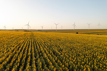 Alternative energy wind turbines with blades in field aerial view bright orange sunset blue sky wind park slow motion drone turn. Silhouettes windmills, large orange sun disc summer lens flare