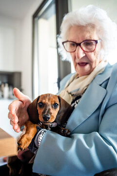 A grandmother holding a baby dachshund in her arms.