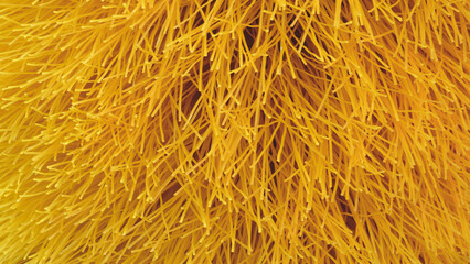 Close-up of the bristles of a yellow brush. abstract texture background for template pages and banners