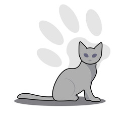 Graceful grey cat sitting with paw print background