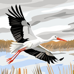 Majestic white stork soaring over serene wetlands, captured in a detailed digital illustration.