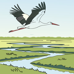 Majestic white stork soaring over serene wetlands, captured in a detailed digital illustration.