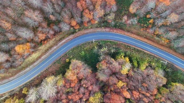 Karasu Sakarya Adapazari Turkiye Turkey Winding Road Through Colorful Autumn Forest Captured from Above. High-angle, aerial view of a winding road snaking through a vibrant autumn forest. Travel tour