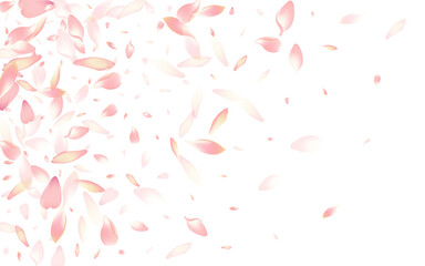 2560x1600ggr17__Persik_sakura3_01.eps