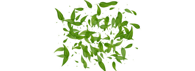 Leaves_Vortex_Flying_Vector_Background_29.eps