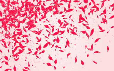 Pink_Petal_Flying_Vector_36.eps