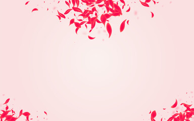 Pink_Petal_Flying_Vector_844.eps
