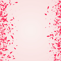 Pink_Petal_Flying_Vector_357.eps