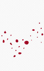 Red_Rose_Petal_Transparent_Background_84.eps