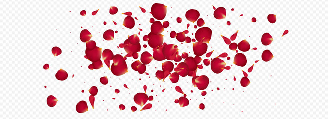 Red_Petal_Vortex_Flying_Vector_Transparent_Background_31.eps