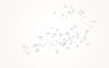White_petals_gray_background_677.eps