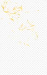 Yellow_petals_transparent_background_983.eps