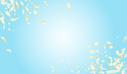 yellow_petals_blue_background_643.eps