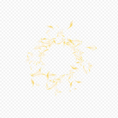 Yellow_petals_transparent_background_841.eps