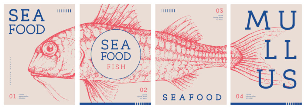 Set of modern magazine covers or posters with mullus fish. Restaurant seafood menu design. Vector illustration