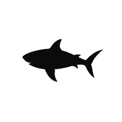Obraz premium shark vector illustration