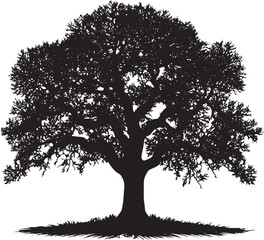 Black Silhouette Tree Vector with Clear Lines – High-Quality Download