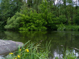 A body of water surrounded by trees and flowers