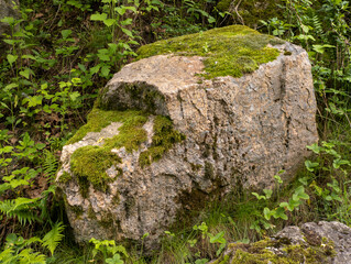 A large rock covered in green moss in the woods