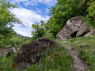 A large rock in the middle of a grassy field next to a forest