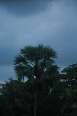 Moody skies, mellow vibes