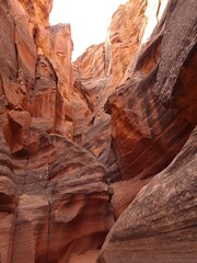 canyon national park