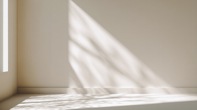 Minimalist interior showcasing soft shadows and natural light in a serene space