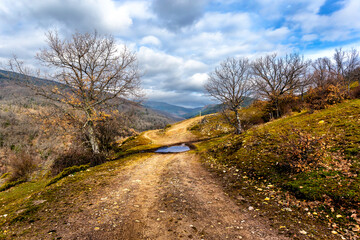 Camino con charco en invierno