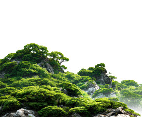 Lush green hills surrounded by rocky terrain and fog in nature