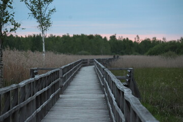 Sunset on the Federseesteg